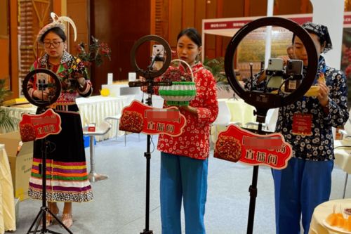 紅星觀察丨主播經紀首度納入行政監管，《網絡表演經紀機構管理辦法》征求意見稿解讀